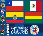 A grubu, Copa America 2015
